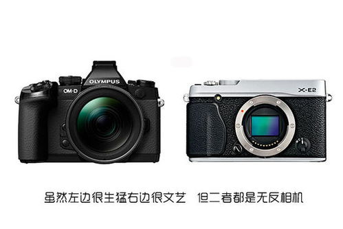 易问易答 无反、单反与普通数码相机，究竟是何方神圣？